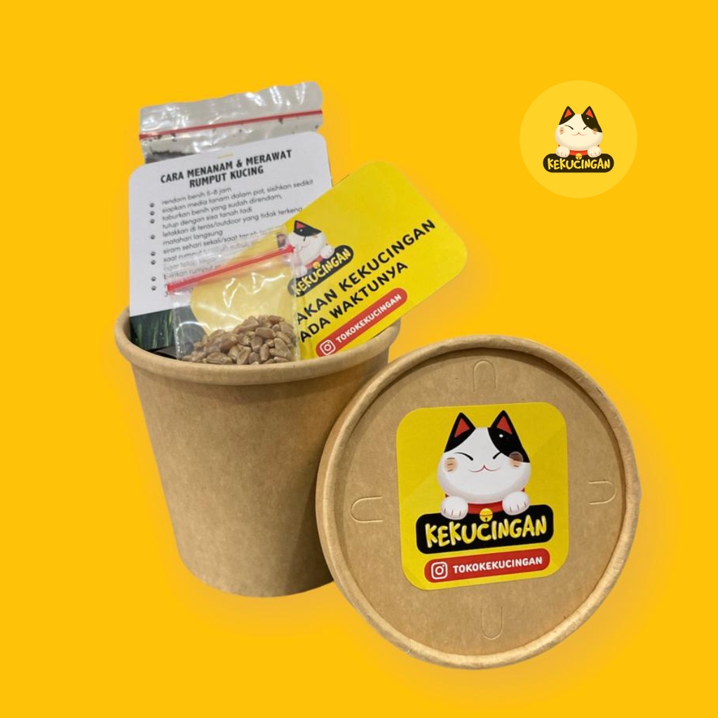 DIY CUP RUMPUT KUCING Paket Tanam Rumput Gandum Paper Cup 12 oz