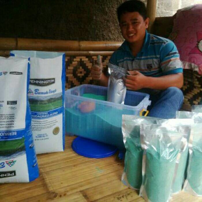 Jual benih rumput bermuda | grass seed