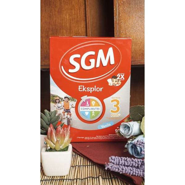 

PROMO - SGM Eksplor 1 plus 900 gram vanila