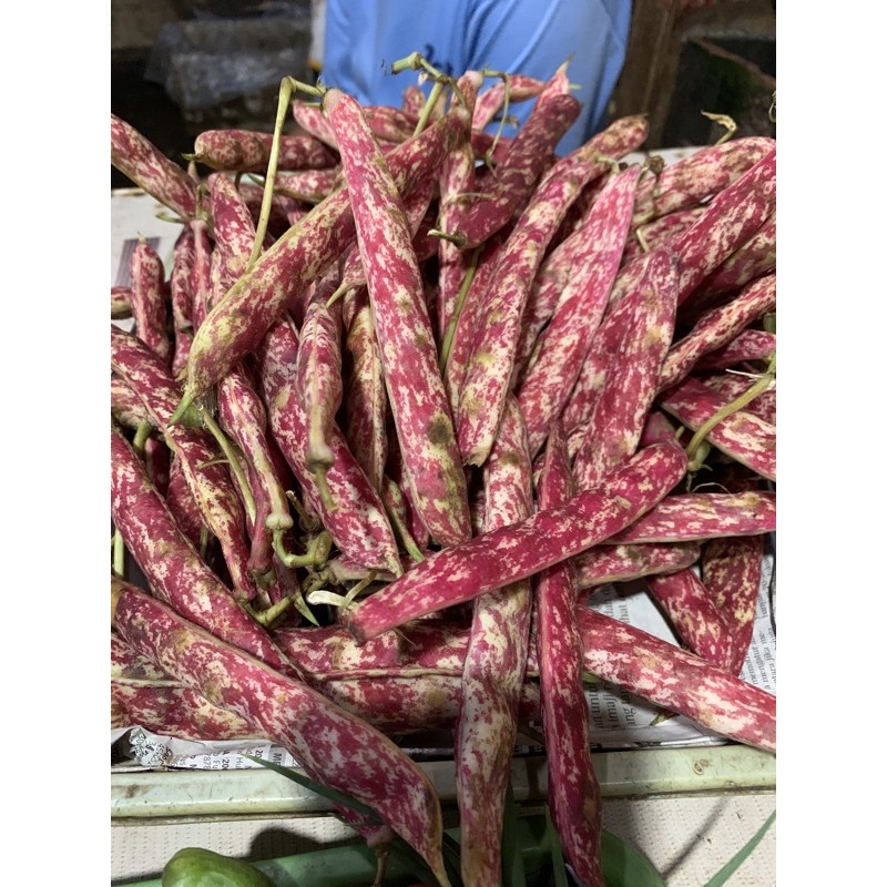 

kacang merah basah 500g