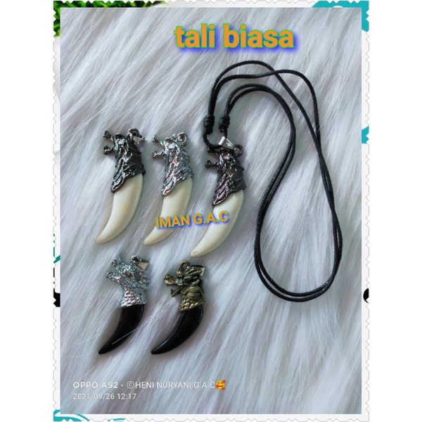 grosir 6pcs_12pcs kalung+liontin taring serigala/harga 6_12pcs kalung taring serigala tali import