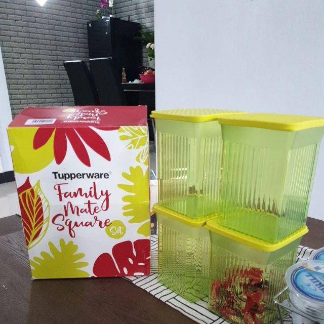 Family mate isi 4 hijau