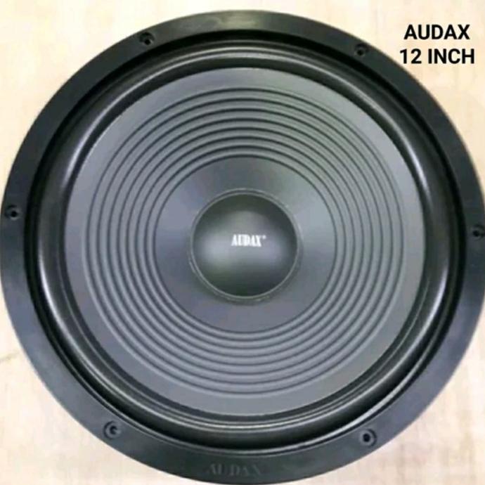 Speaker Audax 12 Inch Ori Sepeker Audax 12 Inc Speker Spiker AUDAX