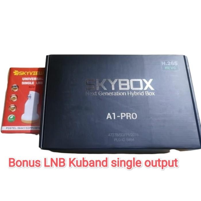 Reciver Skybox A1 Pro Include Dongle Wifi Combo Dvbs2 & Dvbt2