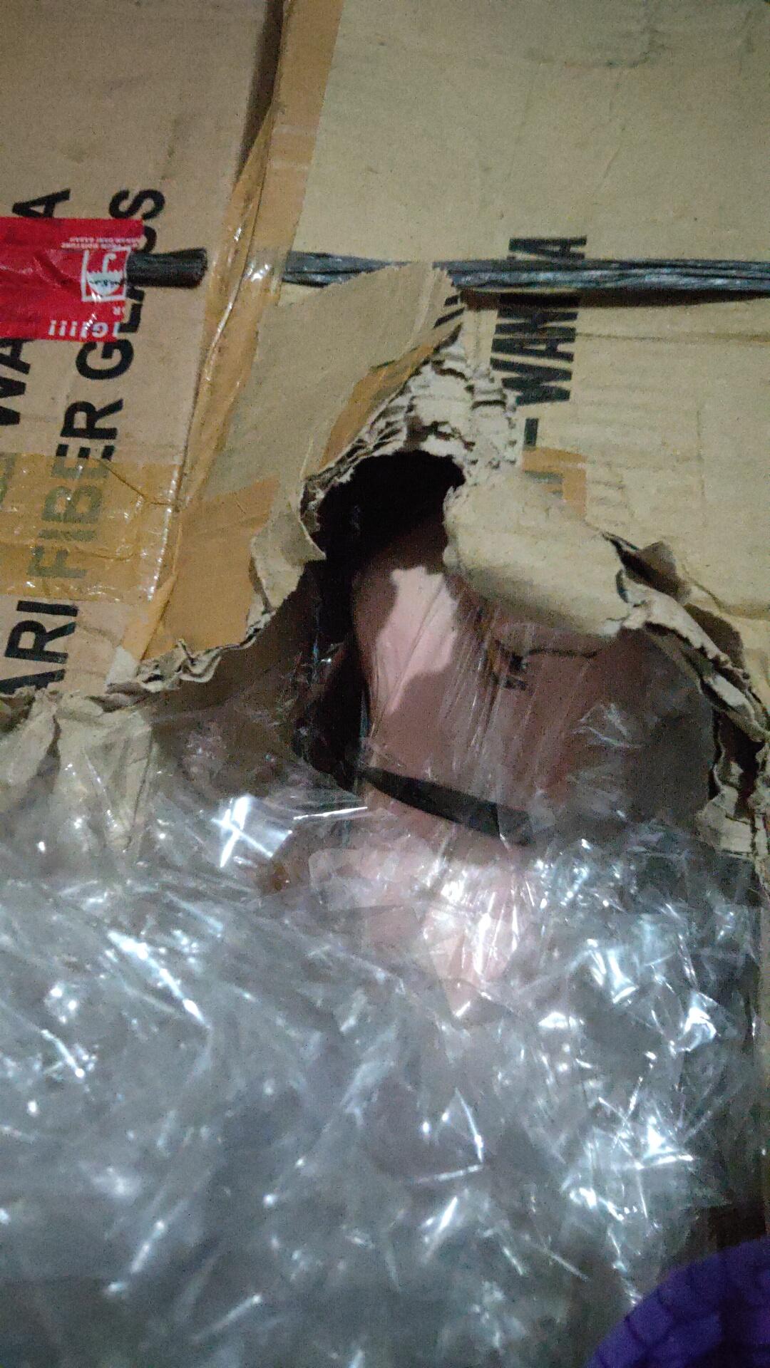 Saranaperaga - Torso Anatomi Manusia Wanita / Perempuan Uk Mini - Alat Peraga Sekolah Ipa