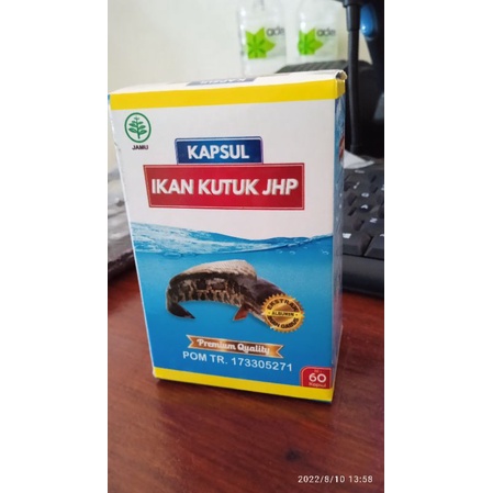 KAPSUL IKAN KUTUK ( gabus)