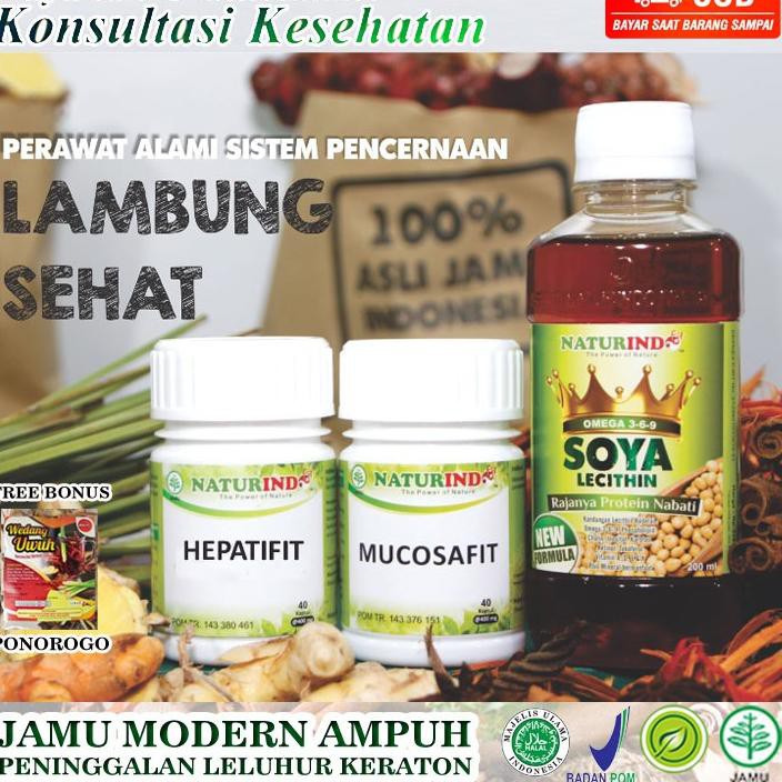 

Asam Lung Magh Kronis Dan Gerd Jamu Naturindo PAKET PERESEPAN B1R5