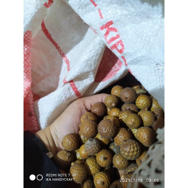 biji rotan kiloan biji rotan bulat biji rotan oval