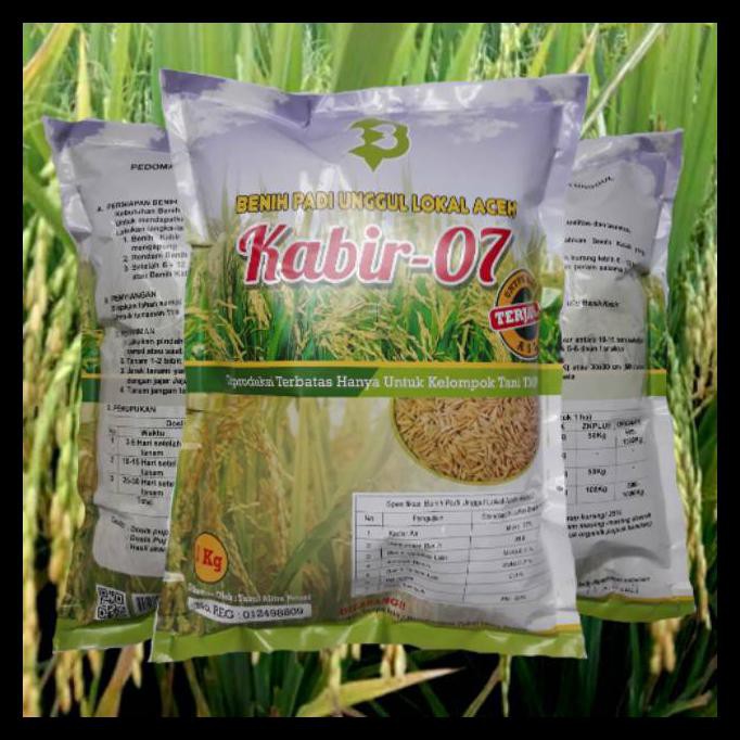 {BISA COD} Benih Padi Kabir 07 / Bibit Padi Kabir 07 BERKUALITAS Kode 662