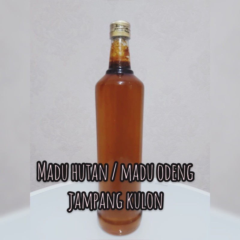 

Madu hutan / madu odeng jampangkulon