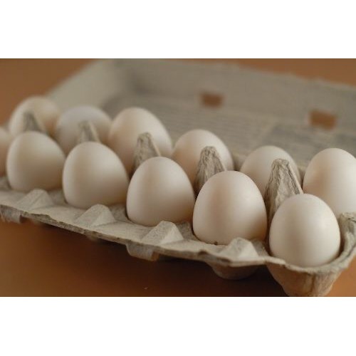 

Telur Ayam Kampung
