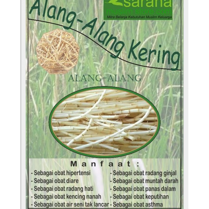 

Akar Ilalang Alang Alang Kering 500gr Untuk Panas Dalam Diare Hipertensi