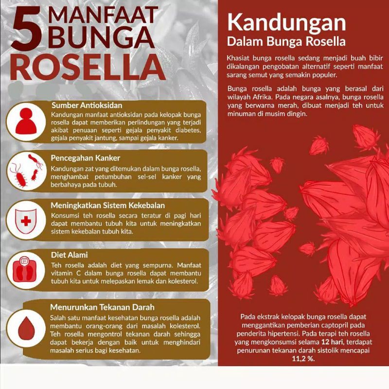 PURPLE ROSELLA TEA : TEH BUNGA ROSELLA UNGU (30 TEA BAG)