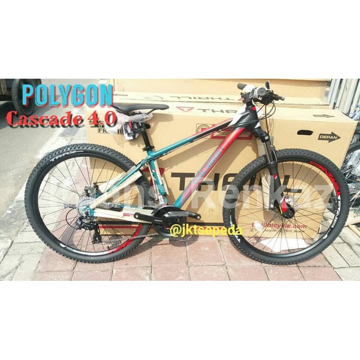 Sepeda MTB Polygon Cascade 4