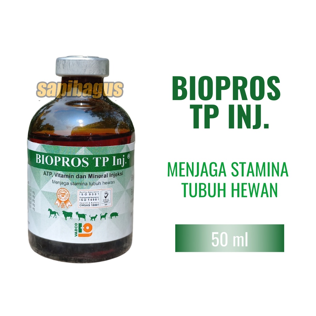 Biopros Tp Inj 50 ml - Menjaga Stamina Tubuh Hewan - Sapibagus
