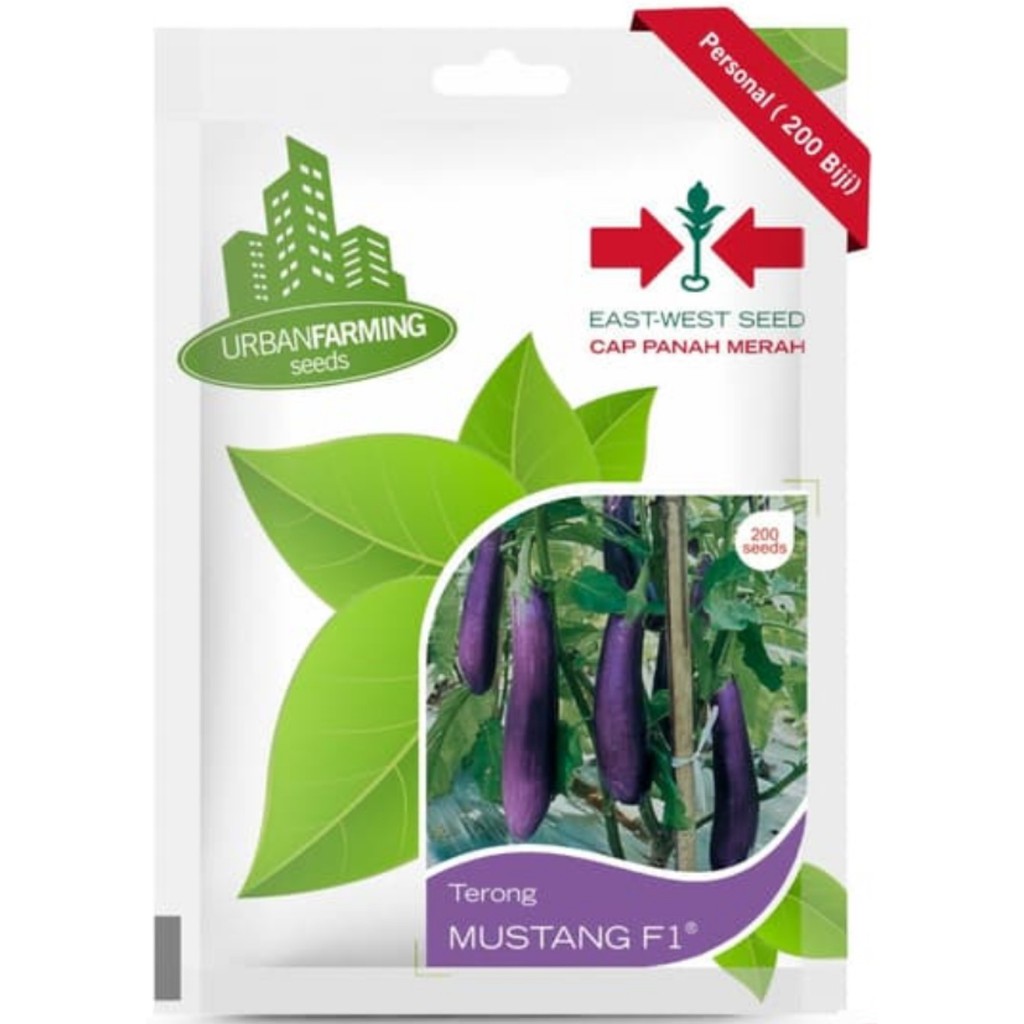 Benih Panah Merah - Terong Mustang F1