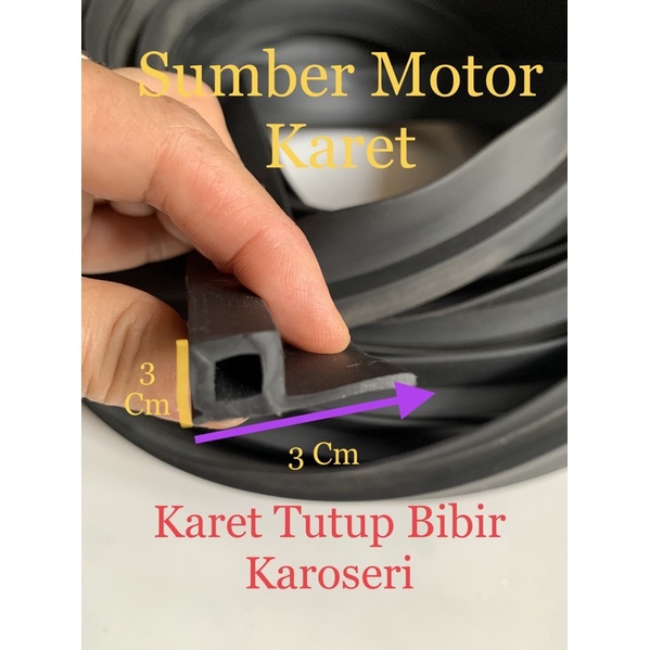 Karet Ganjel Bibir Mobil Karoseri