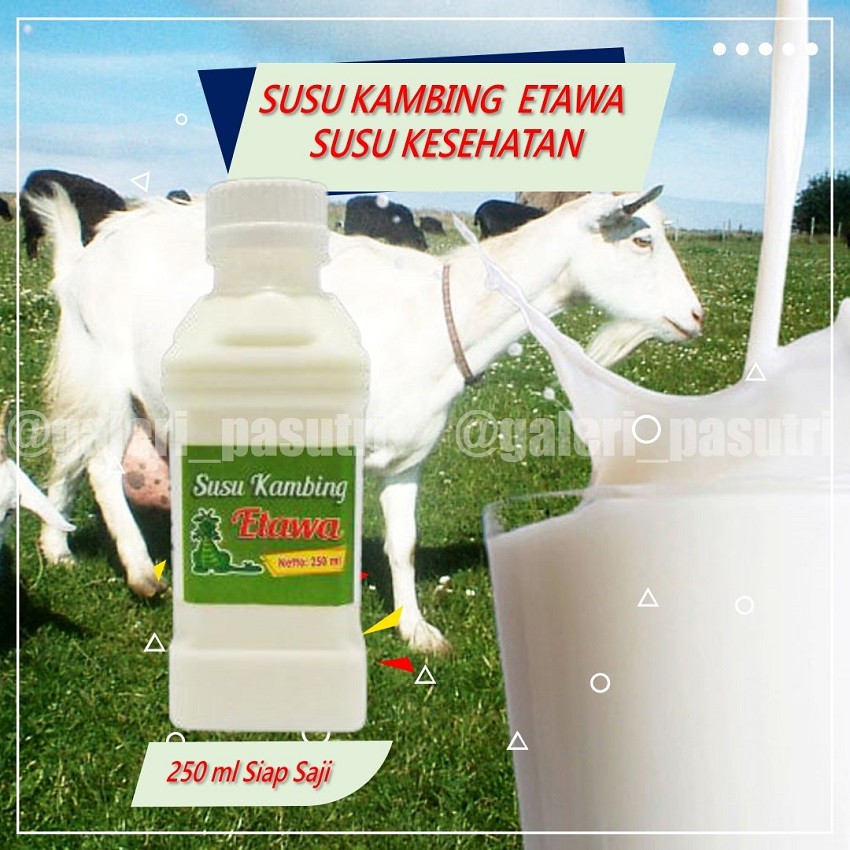 

Susu Segar Kambing Murni Obat Maag Kronis Asam Lambung Gerd Bronkitis Herbal Asma Ampuh