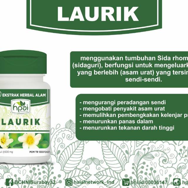 LAURIK HNI HPAI