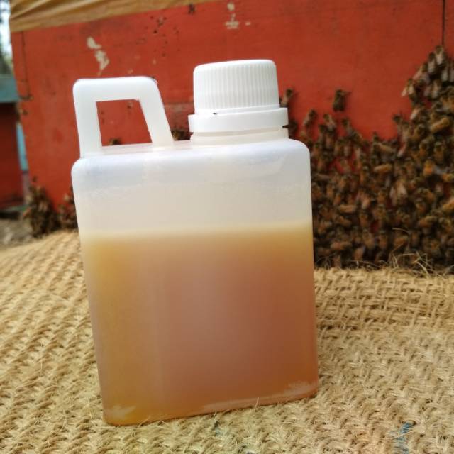 

Raw Honey Madu Asli 500gr madu murni tanpa proses antibodi cegah virus atasi demam batuk pilek