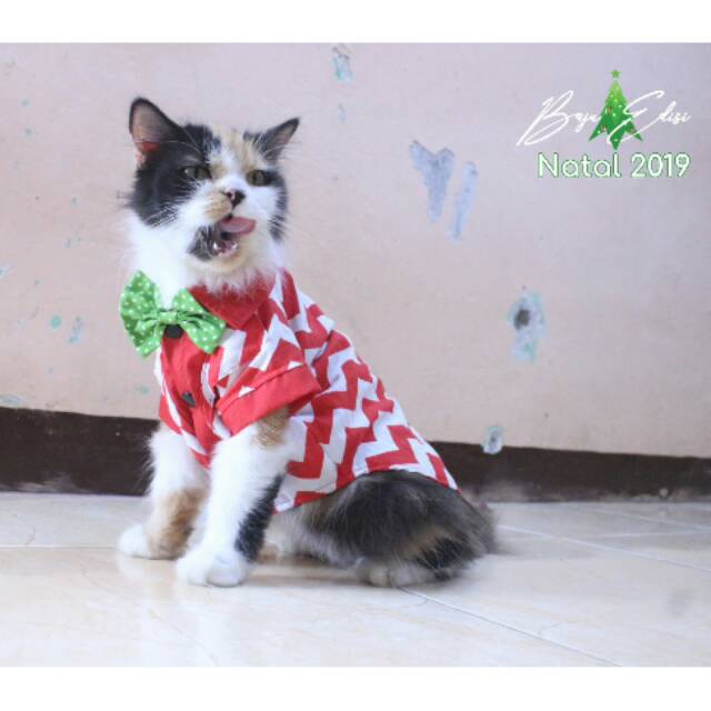 Kemeja merah putih zig-zag lucu untuk kucing dan anjing / baju kucing murah size S-XL