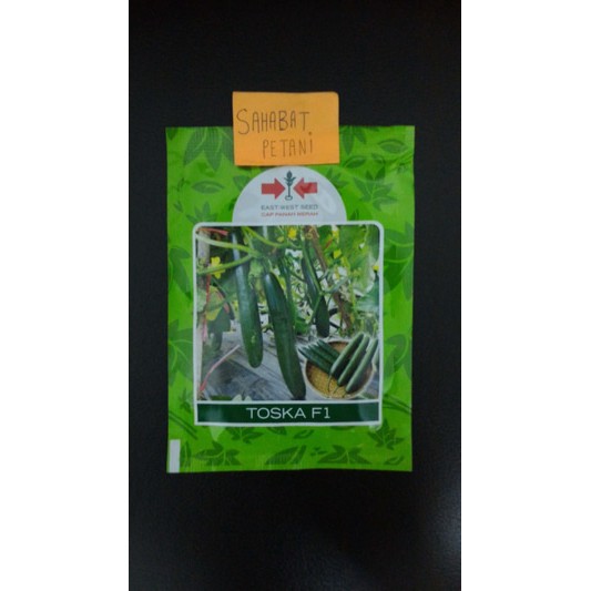 Benih Timun Jepang Toska F1 175 Butir