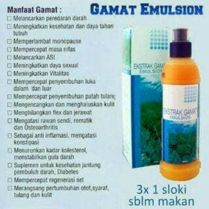 K Gamat Extract Emultion Ekstrak Gamat Emulsion K Link K Link Klink Indonesia