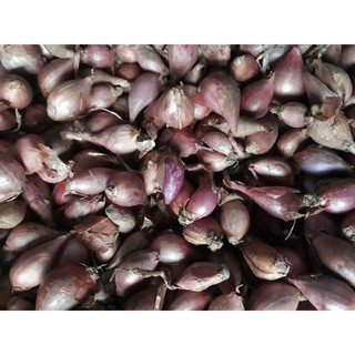 Jual BAWANG MERAH TANGGUNG KECIL 1 KG | Shopee Indonesia