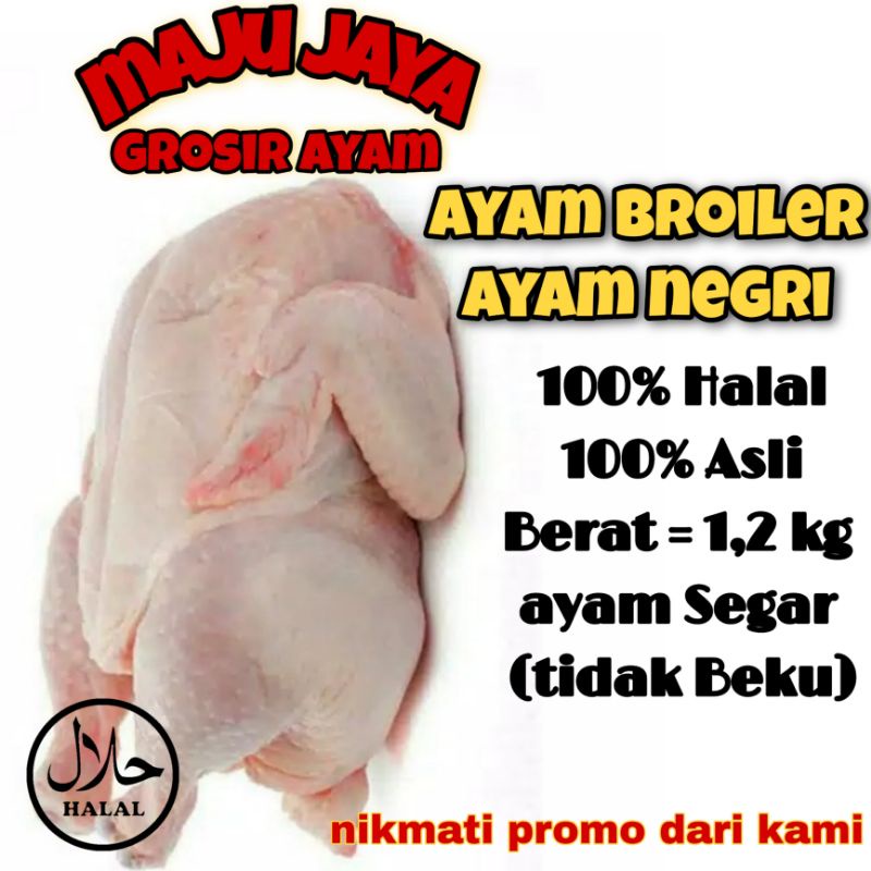 AYAM UK. 1.2 - 1.25 kg /AYAM UTUH /AYAM 1EKOR / AYAM SEGAR /FRESH /AYAM MURAH / BERKUALITAS /AYAM BERSIH