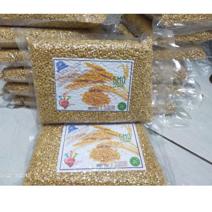 ✨IMPORT✨ biji gandum utuh food grade 1kg