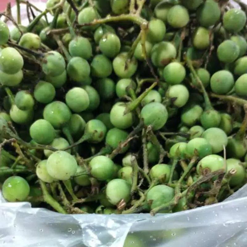 

buah cepokak/takokak isi kemasan 500 gram