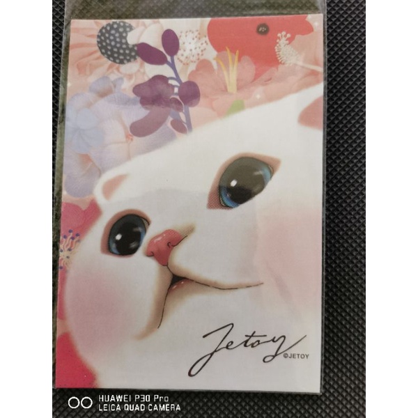 

kartu pos kucing jetoy/jetoy cat postcard