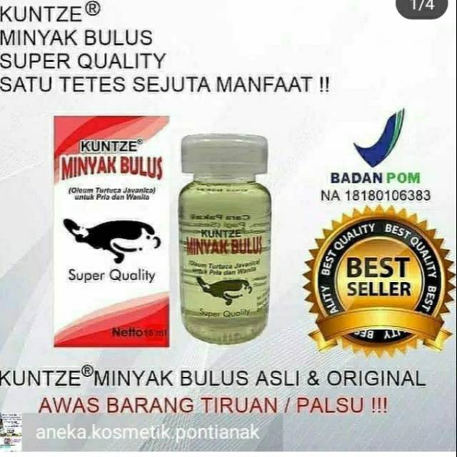 KUNTZE MINYAK BULUS ASLI ORIGINAL BPOM