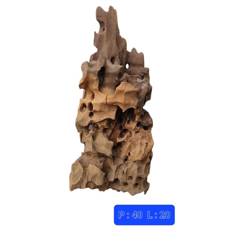 kayu aquascape hutan