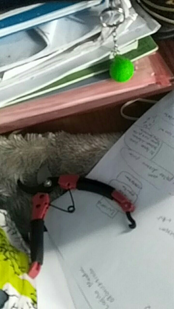 Polybag Polibek Polybeg 40x40 Cm Per Lembar