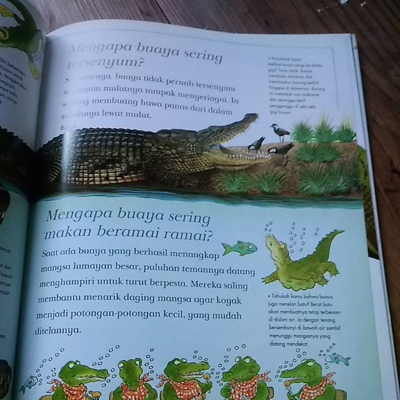 Aku ingin tahu mengapa Grolier