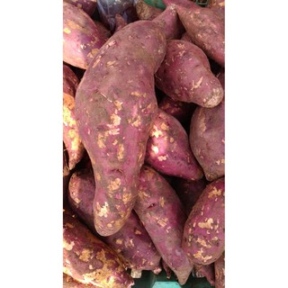 Ubi Jalar Merah 1Kg / Sweet Potato / Ubi Merah / Ubi / Umbi / Diet