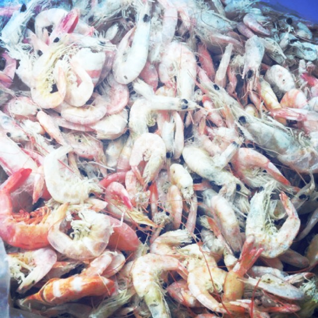

Udang Manis Besar Medan Asli Belawan Tanpa Sampah Kepala