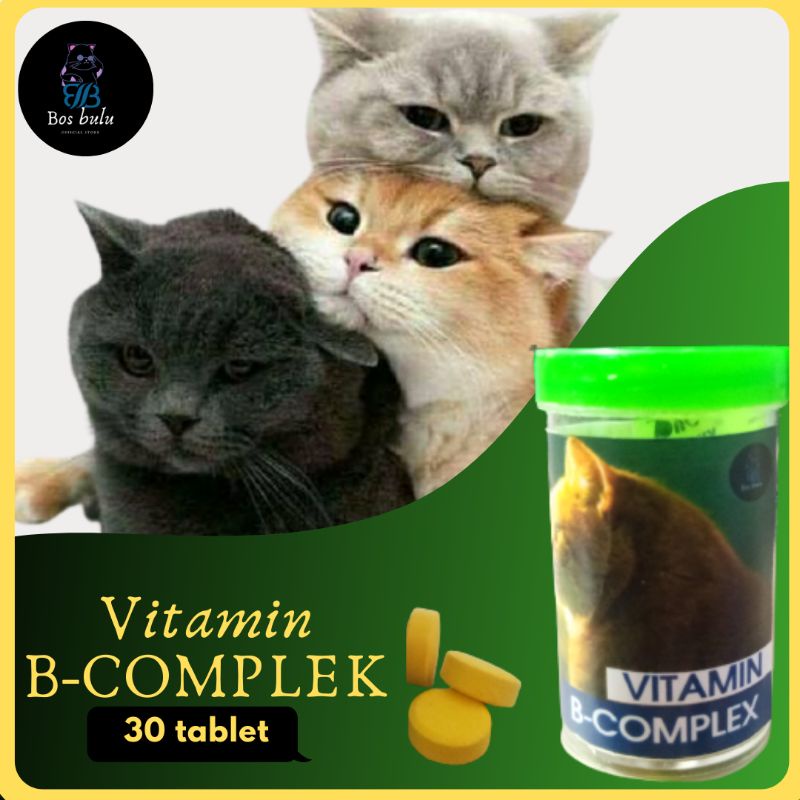 vitamin b complex untuk nafsu makan kesehatan kulit bulu daya tahan tubuh kucing 30 tablet