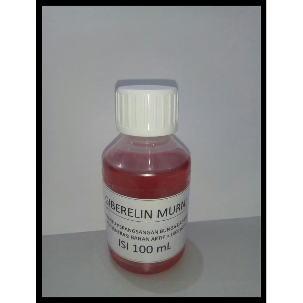 BEST SELLER HORMON TANAMAN GIBERELIN