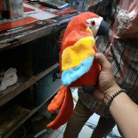 Shopee Indonesia Jual Beli Di Ponsel Dan Online