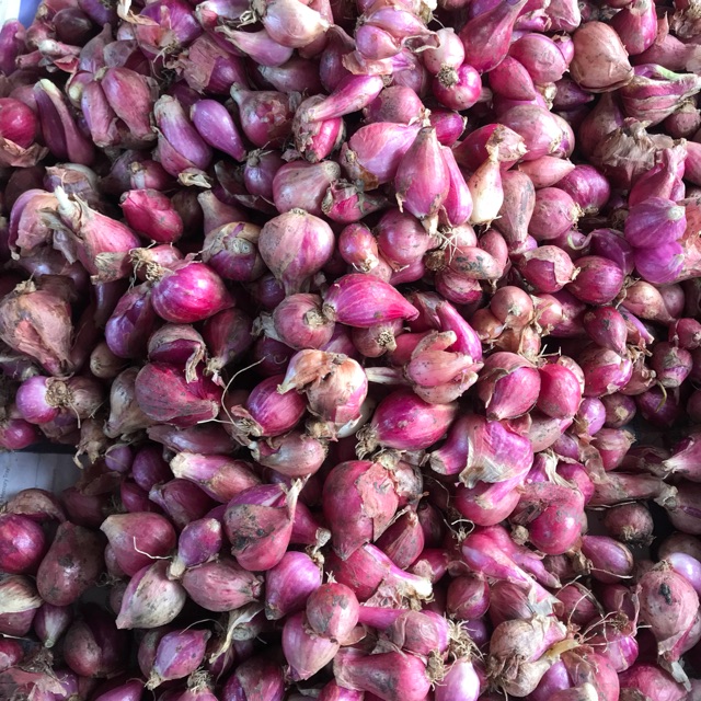 

Bawang Merah 1KG
