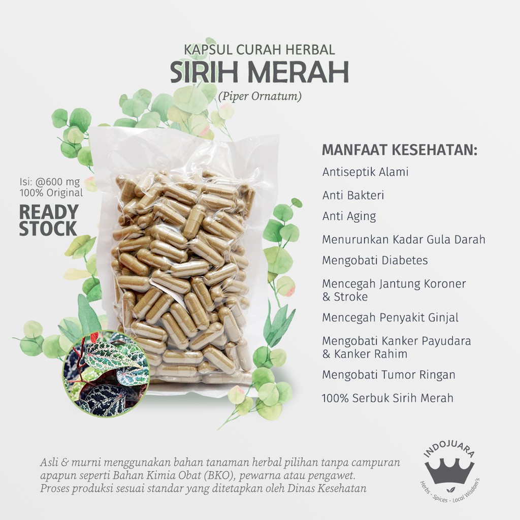 

SIRIH MERAH 100 Kapsul Curah Herbal Ketombe Asam Lambung Antiseptik Alami Prostat Keputihan 600mg