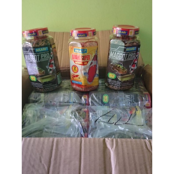 udang kering super Akari dan maggot pro Akari