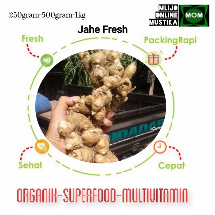 

JAHE 1KG EMPON EMPON KUALITAS SUPER / GINGER / REMPAH FRESH - Jahe Emprit, 1000gram
