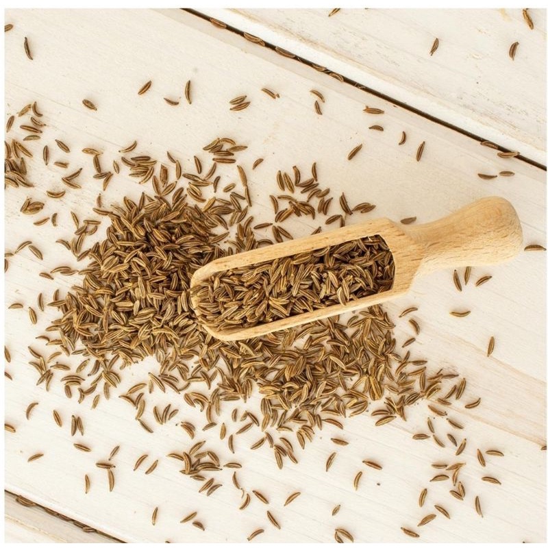 

Jintan India / Cumin Seed 100g