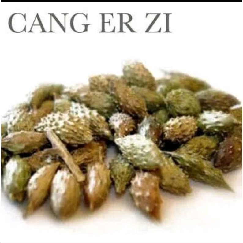 

300 G GR GRAM 苍耳子 CANG ER ZI XANTHIUM FRUIT