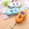 TP 50kg 10gr Timbangan Gantung Mini Digital Scale Travel Portable Smile - MURAH