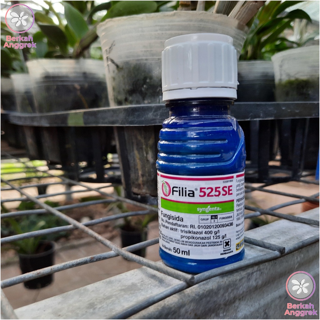 Filia 50 ml Fungisida Daun