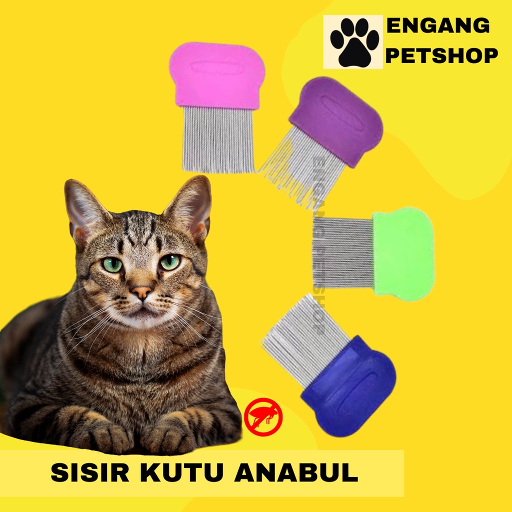 Sisir Kutu Kucing Anjing Sisir Kutu Kucing Sisir Bulu Kucing Sisir Kutu Anjing  Sisir Serit Kutu